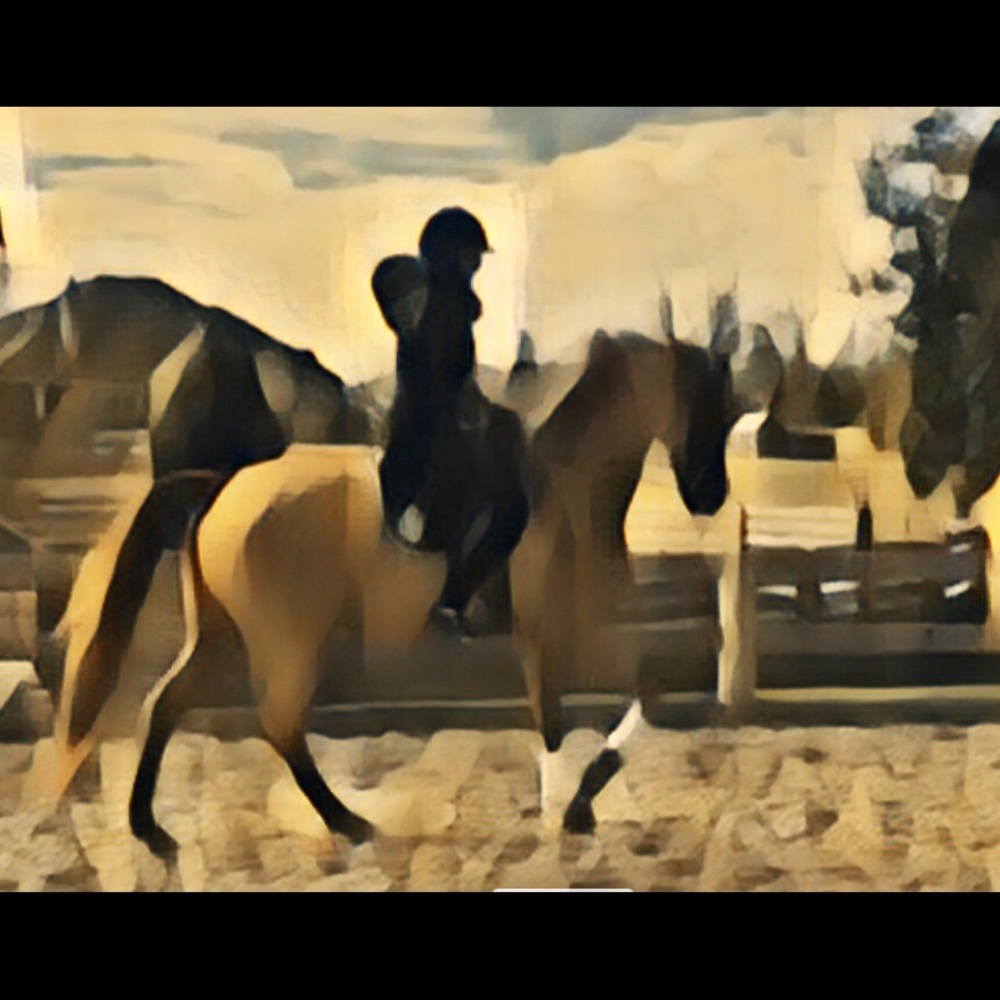 Meet your Posher, Ashley